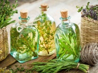 МАСЛЯНЫЕ ЭКСТРАКТЫ