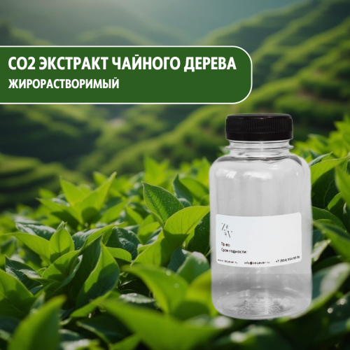 Сверхкритический натуральный СО2 экстракт чайного дерева жирорастворимый